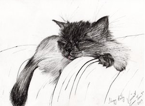 Bébé endormi, 2013 - Vincent Alexander Booth